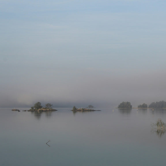 Misty lake scene with trees on the shore