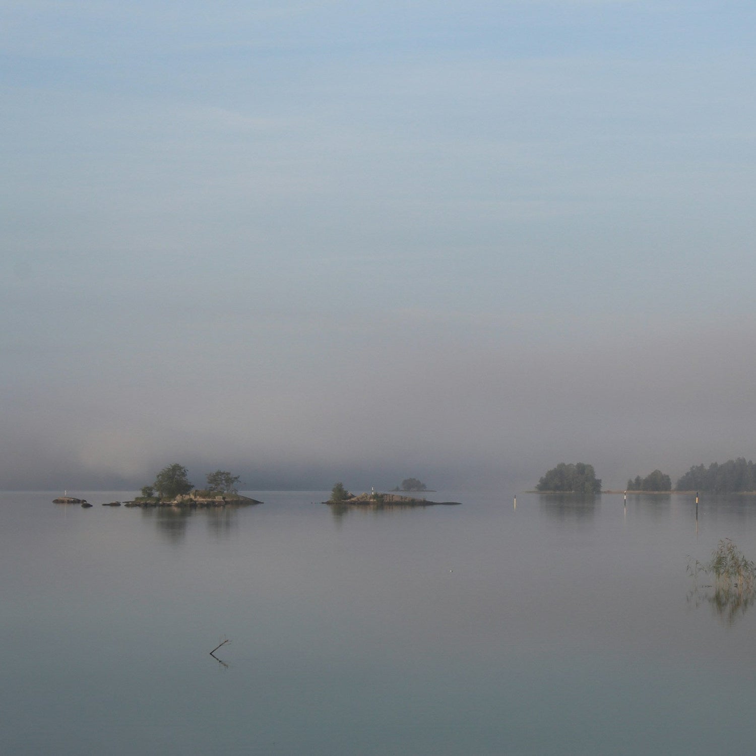 Misty lake scene with trees on the shore