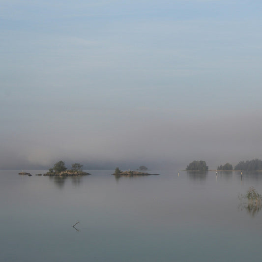 Misty lake scene with trees on the shore
